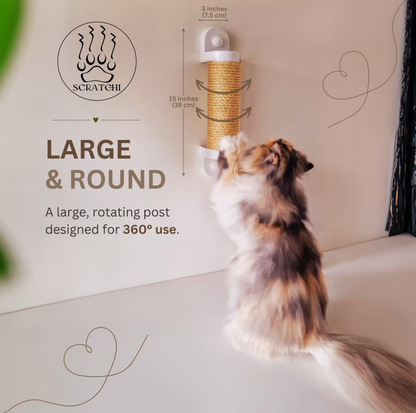 Wall Mounting kit (Scratchi 360)